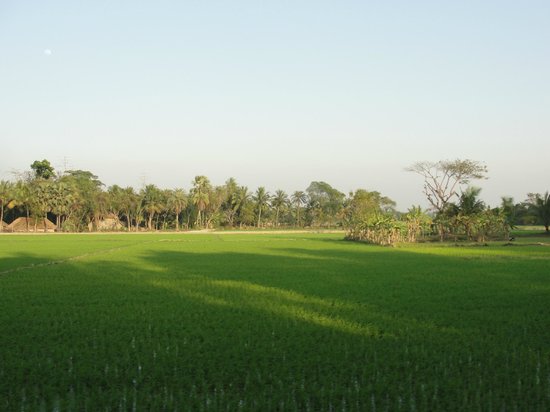 Antyoday Aanath Ashram (Antyoday Orphanage)